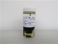 藏品(小雨燕)的圖片